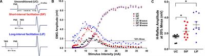 Integration of Convergent Sensorimotor Inputs Within Spinal Reflex Circuits in Healthy Adults